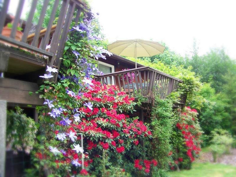 Misty Valley Inn Forks Esterno foto